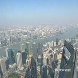 上海之巅的下午茶