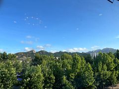 -赵美丽·重庆社区火锅·直营店(火车东站·中豪国际店)