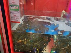 -大玩家(拱墅万达店)