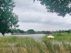 -梁鸿国家湿地公园