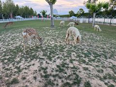 -渔岛海洋度假区