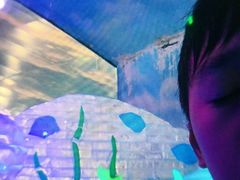 -世界之窗阿尔卑斯冰雪世界