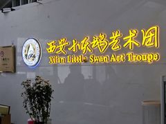 -西安小天鹅艺术团(曲江Alice店)