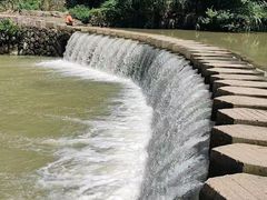 -芦茨金富饭庄·25年老字号·专做稻草鸡