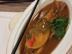 浓香红烧河豚-肆月河豚·新淮扬(金融街店)