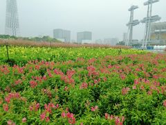 -海心沙亚运公园