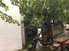 -猫的天空之城概念书店(杭州南宋御街店)