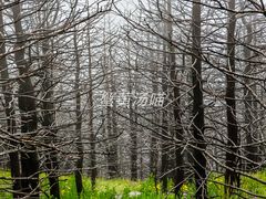 -灵山