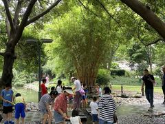 -成都市活水公园