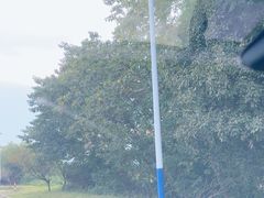 -道林古镇