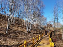 -塞罕坝国家级自然保护区