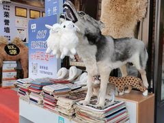 -新疆国际大巴扎