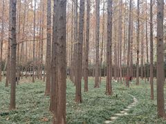 -河南省黄河迎宾馆