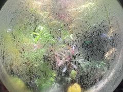 -江和美海洋公园