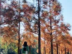 -同里国家湿地公园