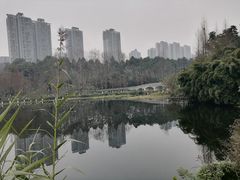 -重庆彩云湖湿地公园