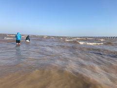 -南汇嘴观海公园