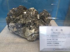 -延庆地质公园博物馆