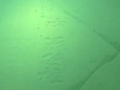 -白鹤梁水下博物馆