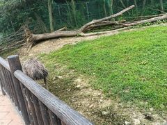 -宁波野生动物园