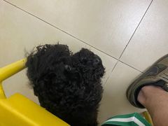 -宠福鑫康馨动物医院·骨科·眼科