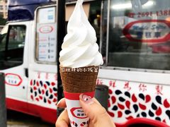 -富豪雪糕车流动点(尖沙咀店)