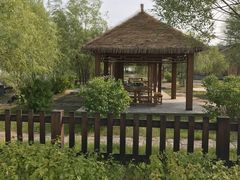 -呼兰河口湿地公园