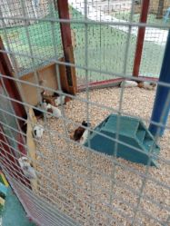 -萌宠亲子动物乐园(槐房万达店)