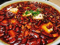 -陈麻婆豆腐总店