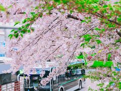 -上海南浦大桥长途旅游客运站