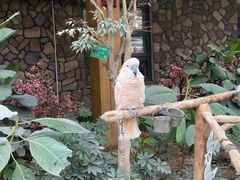 -南宫五洲植物乐园