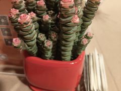 -香宫中餐厅·东北菜·铁锅炖·广式点心(哈尔滨香格里拉店)
