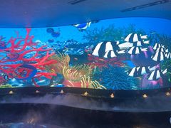 -唐宫足道·SPA·住宿24H会所(木渎店)