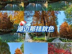 -九科绿洲