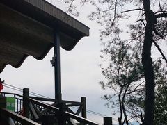-天目湖山水园