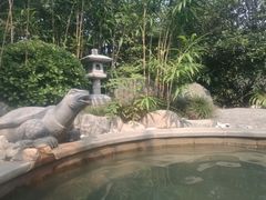-楼观道温泉酒店