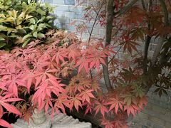 -西安华清御汤酒店