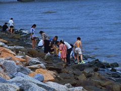 -宝安西湾红树林湿地公园