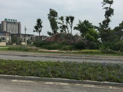 -瑶湖郊野森林公园