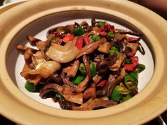 干锅鹿茸菌-金掌勺东北菜(格兰晴天店)