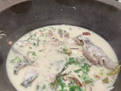 -鲜潭蒸汽石锅鱼(五道口购物中心店)