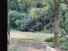 -杭州野生动物世界