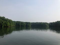 -南湾湖