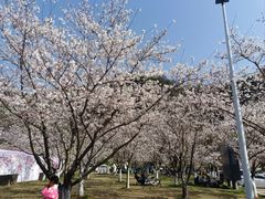 -幕燕滨江·长江观音景区