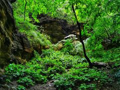 -云台山风景名胜区