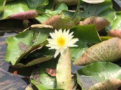 -江南大学(蠡湖校区)