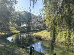 -黛秀湖公园