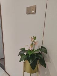 -禾丽康美医疗美容医院