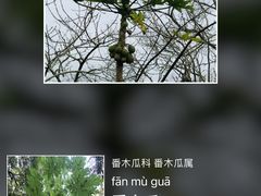 -海口火山口国家地质公园