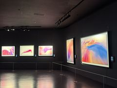 -罗红摄影艺术馆